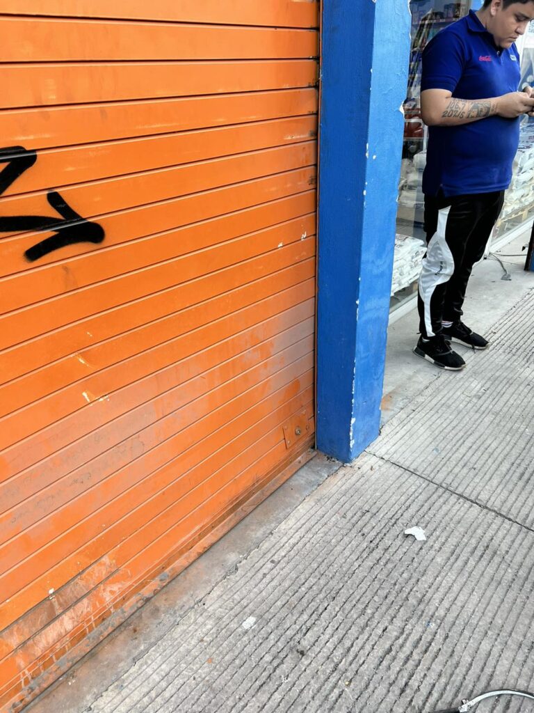servicio técnico de cortinas metálicas
